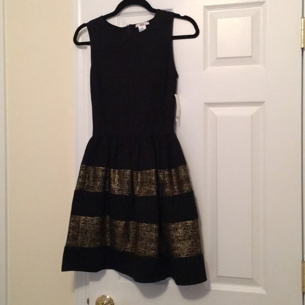 NWT BarIII Dress